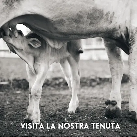 Villa La Salina